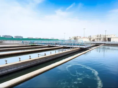 Nutriente para la Activación de Bacterias