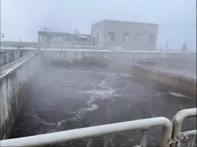 Nutriente para la Activación de Bacterias