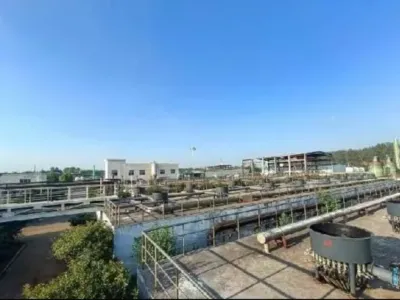 Bacterias Degradadoras de Benceno