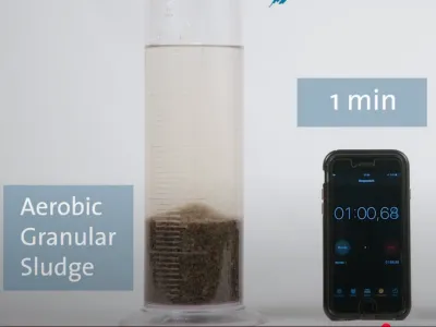 Bacterias Bio-Desodorizantes