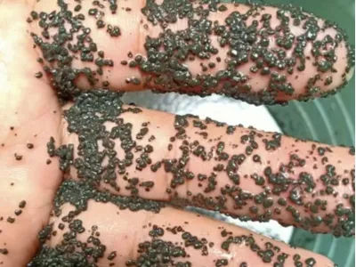 Bacterias Bio-Desodorizantes