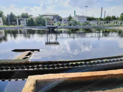 Bacterias de Biodesintoxicación