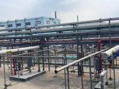 Bacterias para la Eliminación de DQO (Aeróbicas)