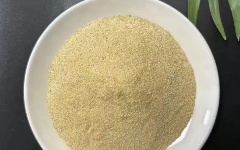 Bacterias de Alta Eficiencia para la Eliminación de DMF