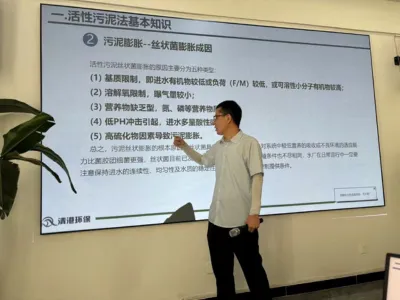 Bacterias de Alta Eficiencia para la Eliminación de DMF