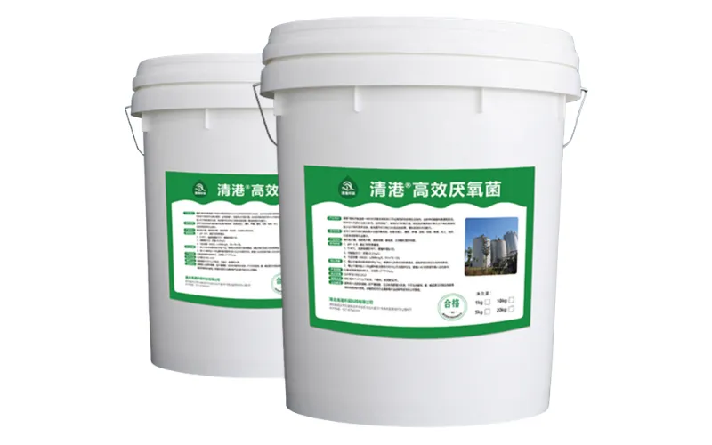 Bacterias Anaeróbicas de Alta Eficiencia