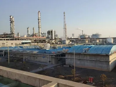 Bacterias de Acidificación Hidrolítica