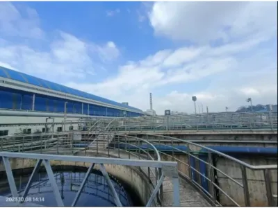 Bacterias de Acidificación Hidrolítica