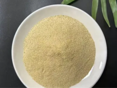 Bacterias para la Eliminación de Aceite