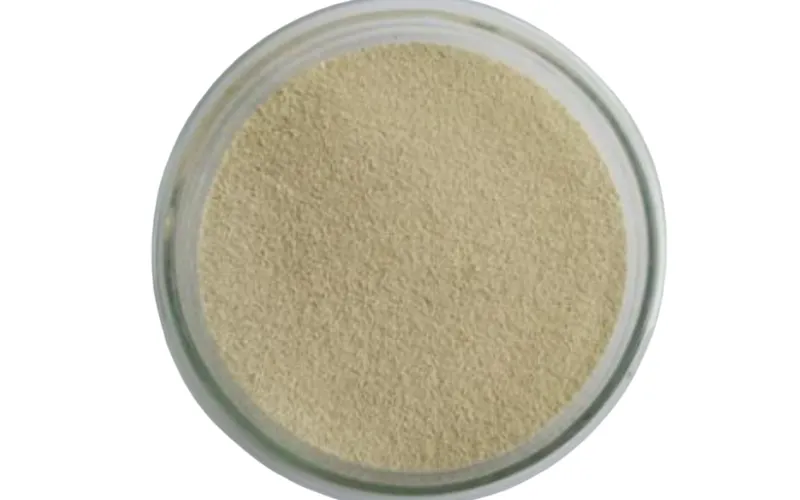 Bacterias Acumuladoras de Polifosfato