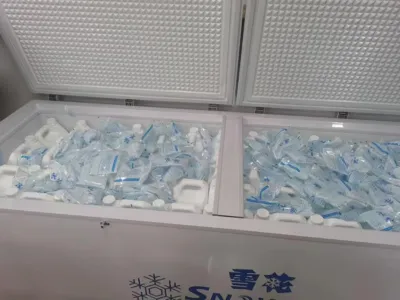 Bacterias Tolerantes a la Sal para la Eliminación de Nitrógeno Amoniacal