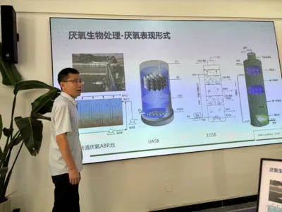 Bacterias Tolerantes a la Sal para la Eliminación de Nitrógeno Total
