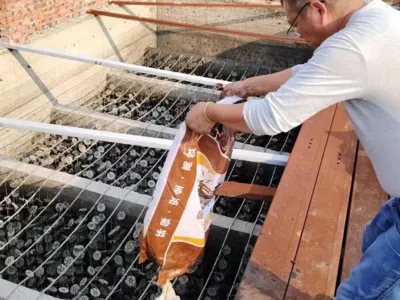 Bacterias para la Eliminación de Azufre