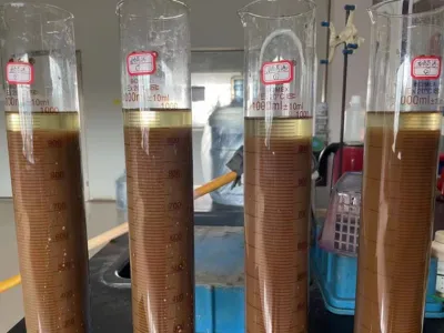 Bacterias para la Eliminación de Nitrógeno Total